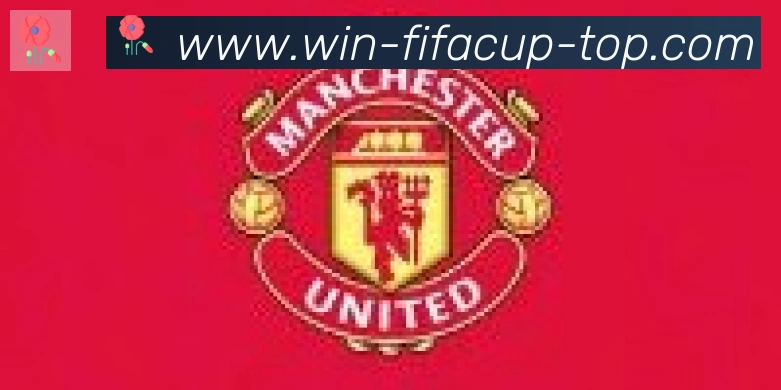 FIFA世界杯买球入口合作伙伴