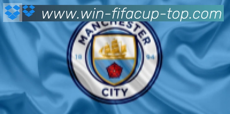 FIFA世界杯买球入口合作伙伴
